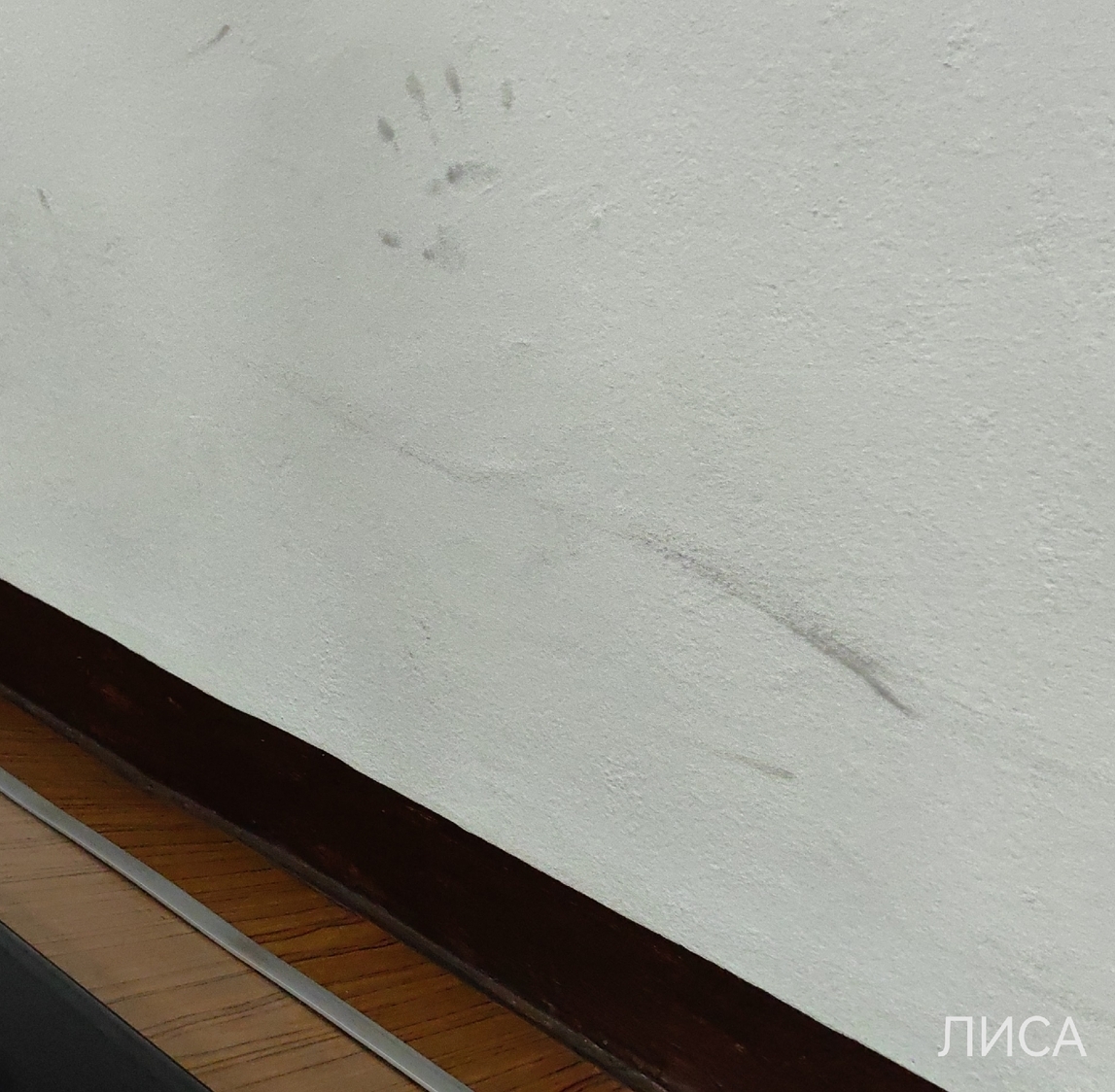 ДНЕВНИК ПЕДАГОГА. Запись #84