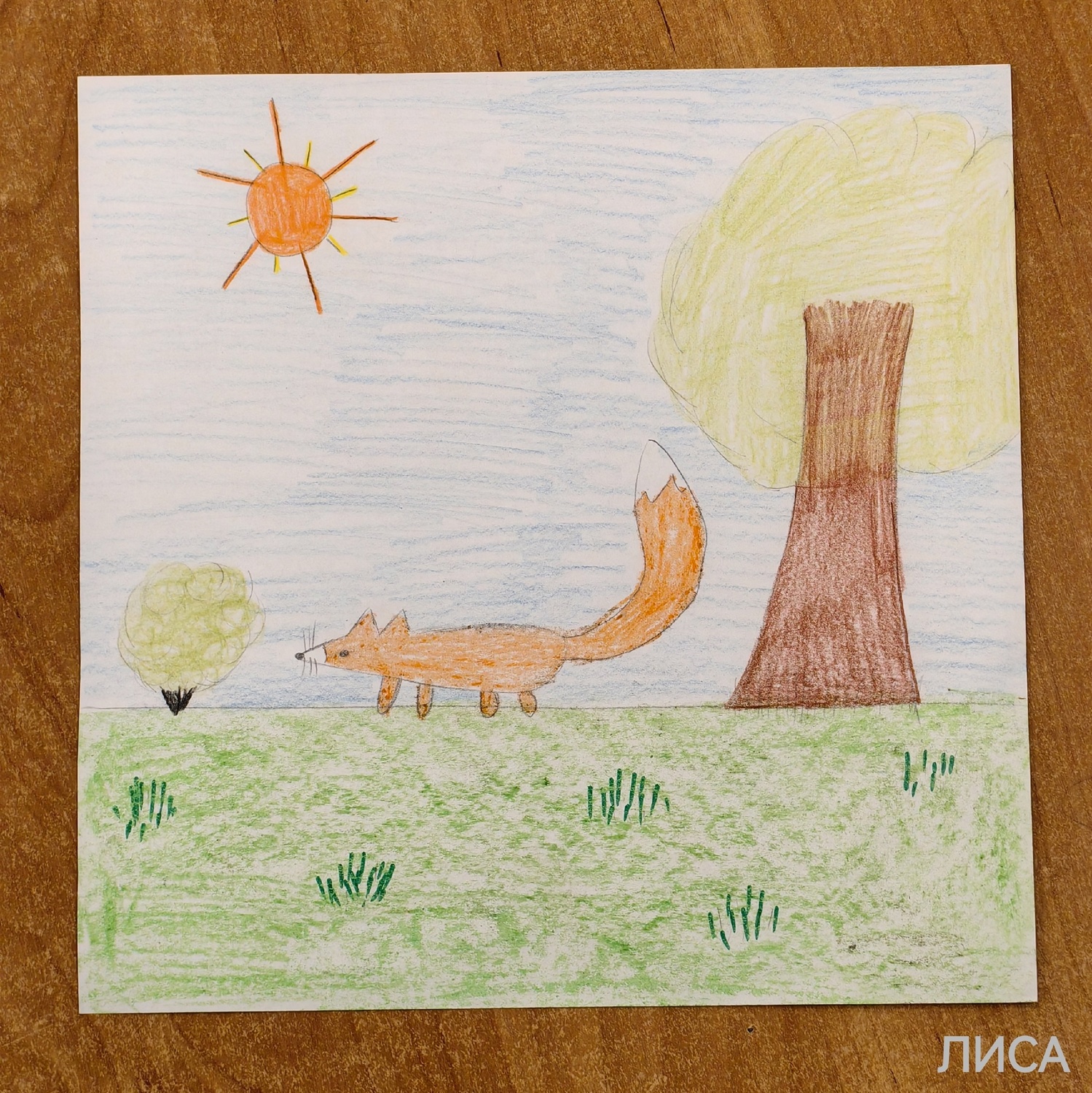 VK-группа математического клуба ЛИСА